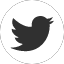 twitter-icon